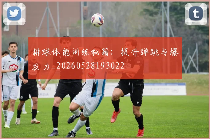 排球体能训练秘籍：提升弹跳与爆发力_20260528193022