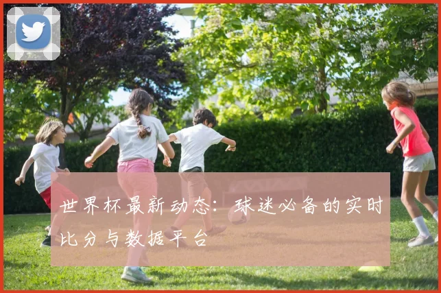 世界杯最新动态：球迷必备的实时比分与数据平台